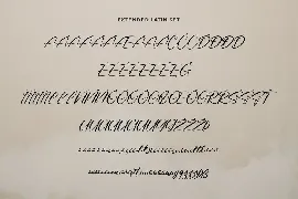 Constatic Signature Font