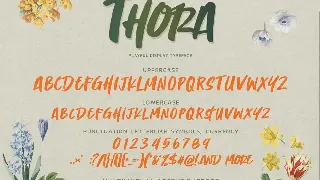 Thora -  Playful Display Font