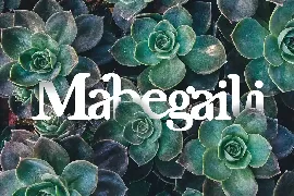 Mabegaili modern serif font