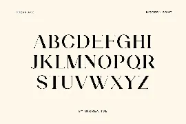 Liquefier Elegant Serif Font