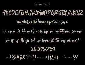 Straightfast Marker Script Font