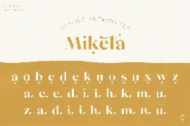 Mikela Regular - Gorgeous Typefaces font