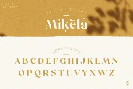 Mikela Regular - Gorgeous Typefaces font