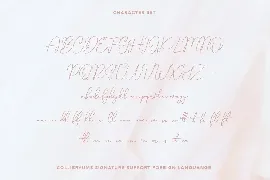 Collibryums Signature Font Extra Swash