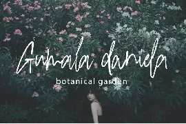 Jesdial Signature font