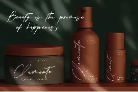 Samanta Holland Modern Signature Font