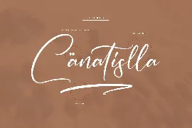 Castillica Modern Script Font