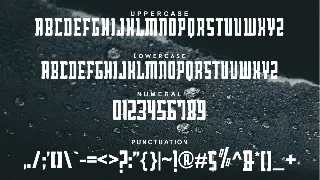 Jumperul Font