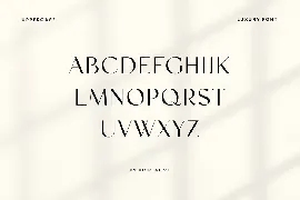 Facelio Modern Stylish Sans Serif Font