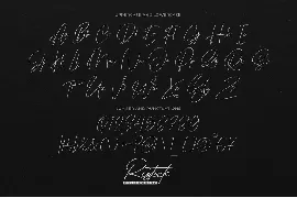 Ristock - Stylish Signature Script font