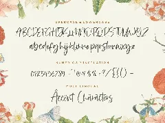 Blackbone Script Font