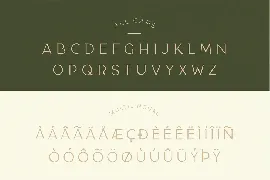 Taylor - Royal Classic Typeface font