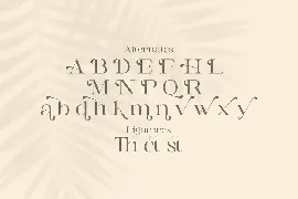 Awaken - Casual Serif Font