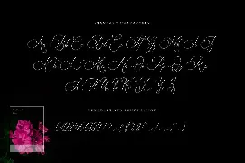 Bulvaryante - Romantic Calligraphy Font