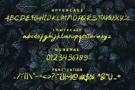 Mapelores Font