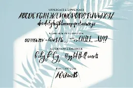 Brigal | A Beauty Script Font