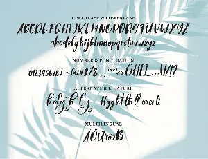 Brigal | A Beauty Script Font