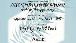 Brigal | A Beauty Script Font