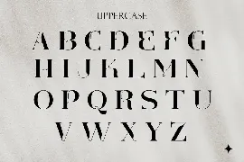 Modern Elegant Font - Fagelyne