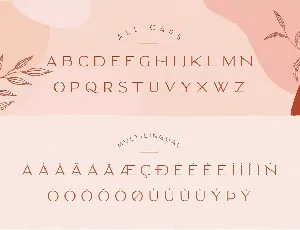 Classy Marisa - Elegant Typeface font