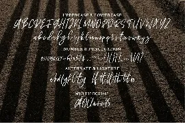 Rigel | A Signature Font