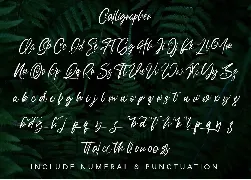 Calligrapher | Modern Script Font