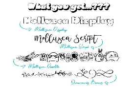 Mollusca Font Trio | Doodle Font