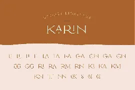 Elegant Karin - Fashion Stylish Typeface font