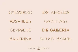 Elegant Karin - Fashion Stylish Typeface font