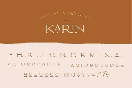 Elegant Karin - Fashion Stylish Typeface font