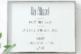 Hai Allison Fun Business Font