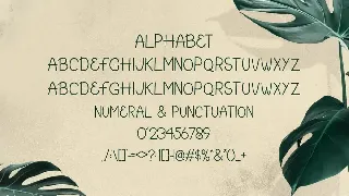 Zeaima - Hand Drawn Font