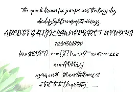 LowbaLaylla | Unique Handwriting Script Font