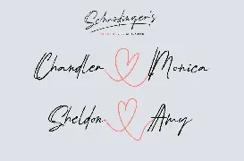 SchrÃ¶dinger's | Signature Font