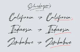 SchrÃ¶dinger's | Signature Font