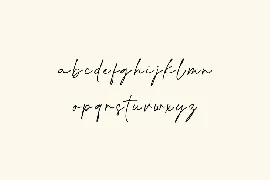 Coastline Calligraphy Signature Font