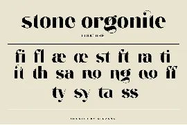 stone orgonite font