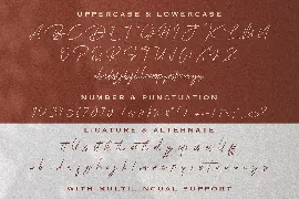 Sang Binthang - Monoline Script Font