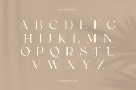 CARVES - Modern Display Font