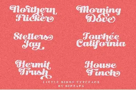 Little Birds Script font