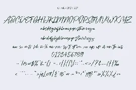 Alphasoil Signature Font