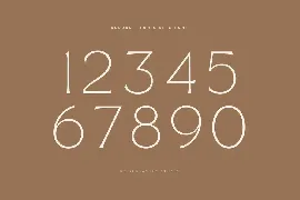 Reborn - Modern Chic Font