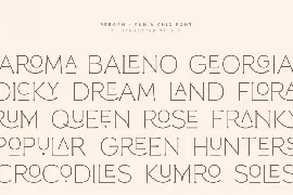 Reborn - Modern Chic Font