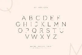 Reborn - Modern Chic Font