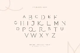 Reborn - Modern Chic Font