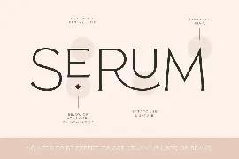 Reborn - Modern Chic Font