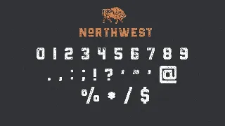 The Northwest - Textured Vintage Type Family font