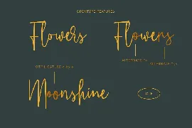 Whillys Script Font