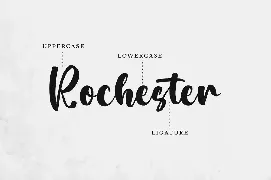 Rochester - Bold Script Font