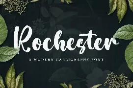 Rochester - Bold Script Font